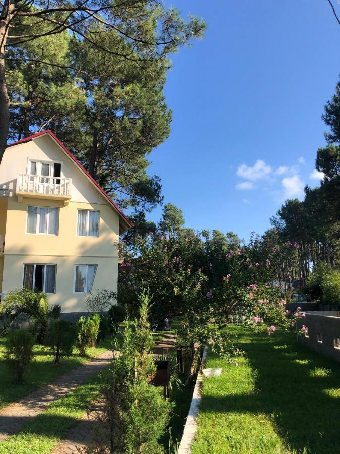 Kaprovani Villa 22 Shekhvetili Zewnętrze zdjęcie