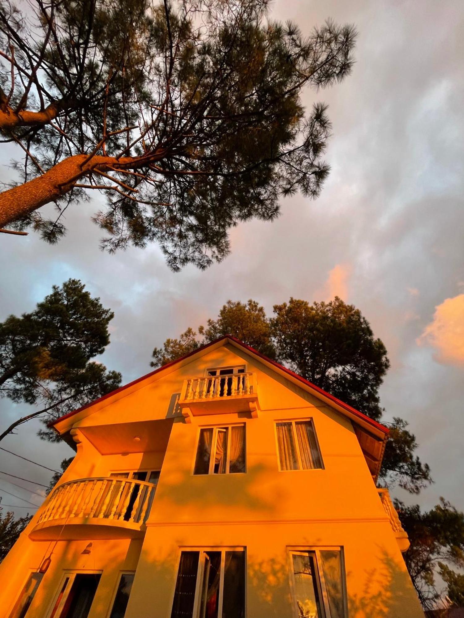 Kaprovani Villa 22 Shekhvetili Zewnętrze zdjęcie