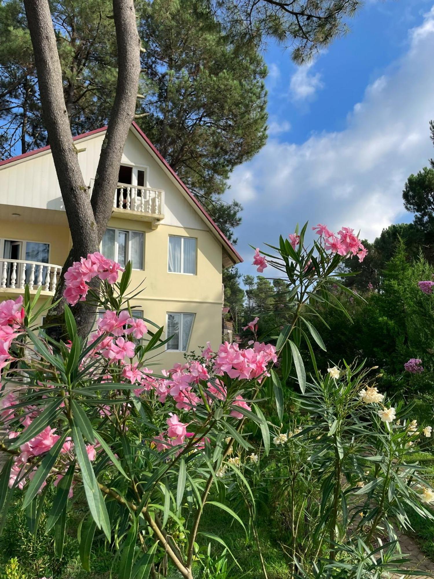 Kaprovani Villa 22 Shekhvetili Zewnętrze zdjęcie